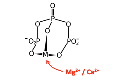 a molecule diagram